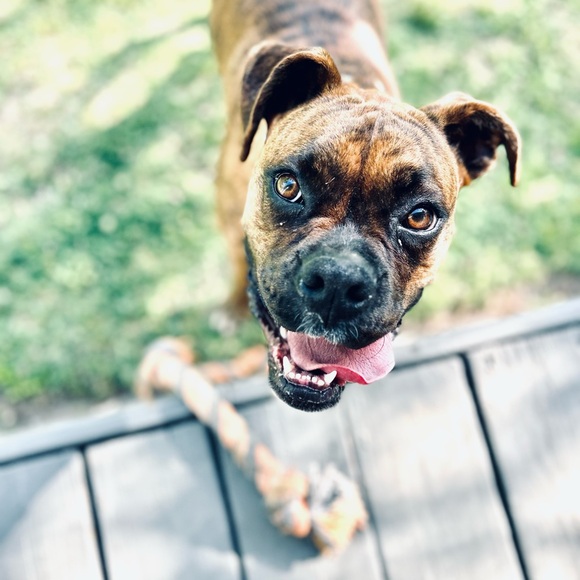 🌿Sam_M_ is LIVE!🌿 Like this post to know when I go live again! ♥️ - Picture 8 of 8